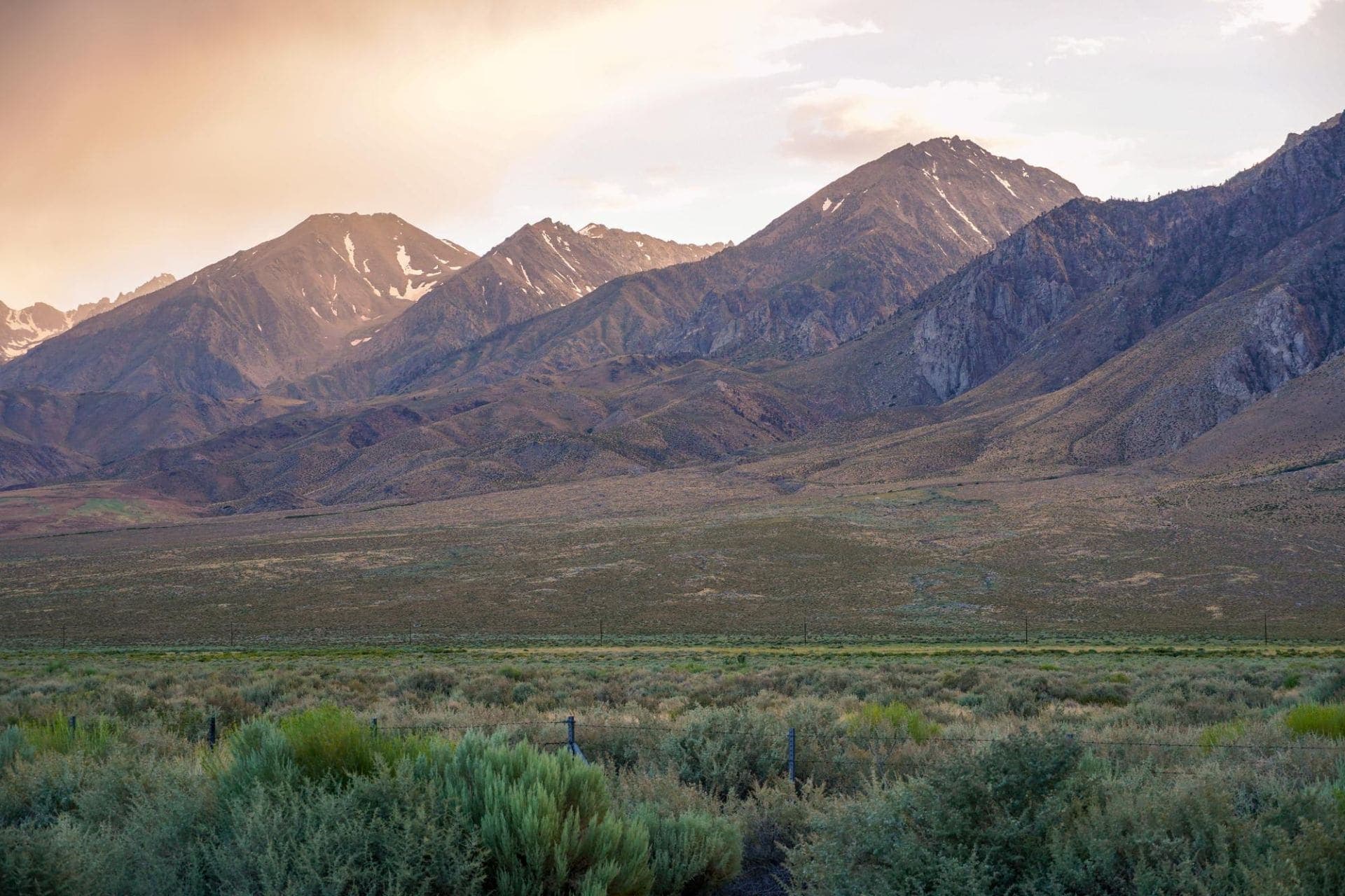Sierra Nevada mountains at dusk above a valley of green sagebrush
